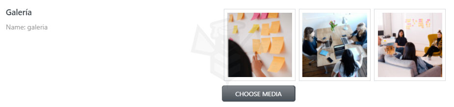 Metacampo Gallery de Post Type de JetEngine