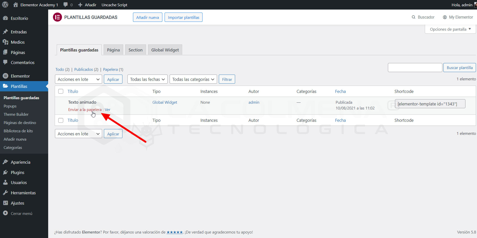 Plantilla global Elementor