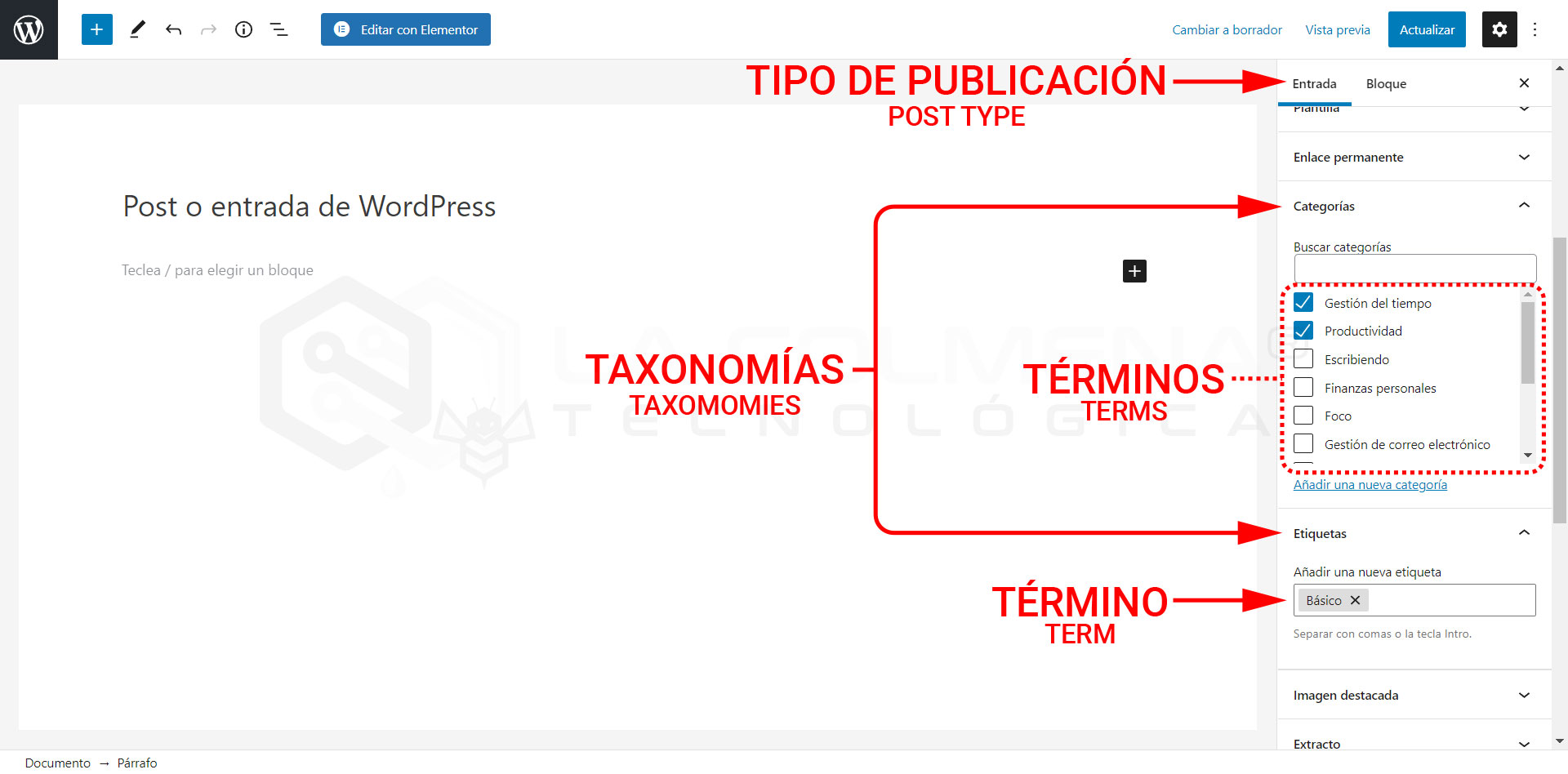 Taxonomías y términos